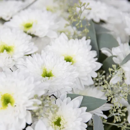 شقة Chesa Piz Padella - St- Moritz By Interhome