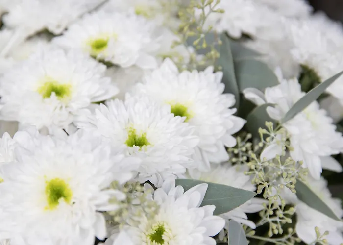 Apartman Chesa Piz Padella - St- Moritz By Interhome